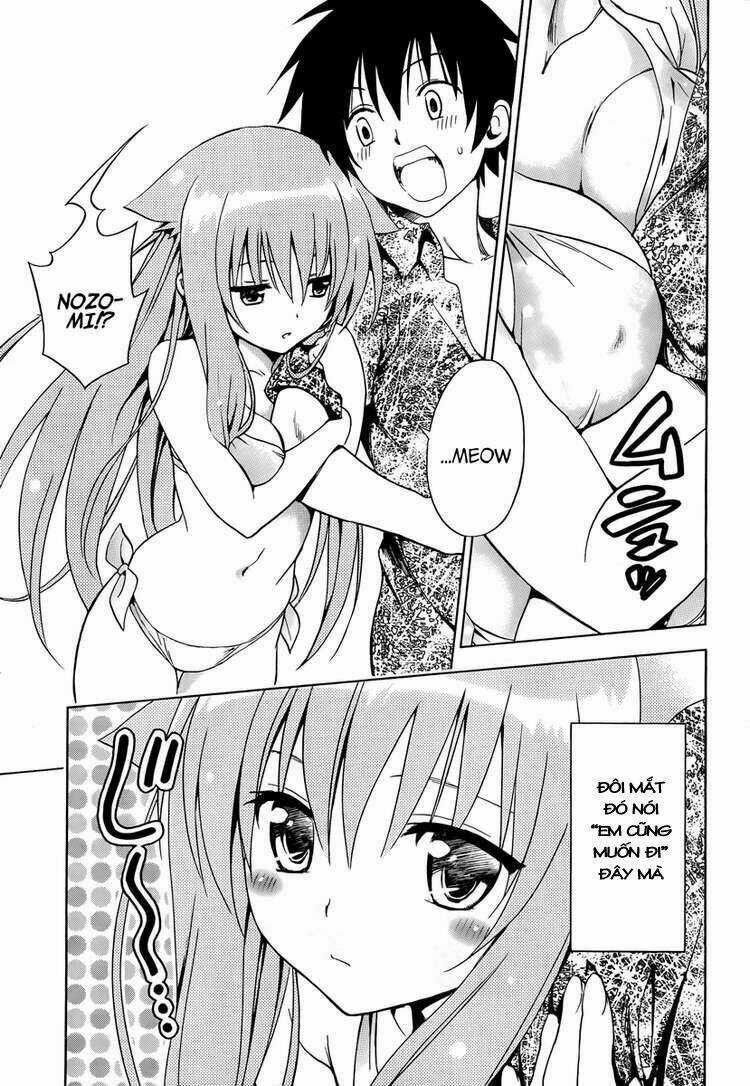 Mayoi Neko Overrun! - Chapter 5 - Trang 12