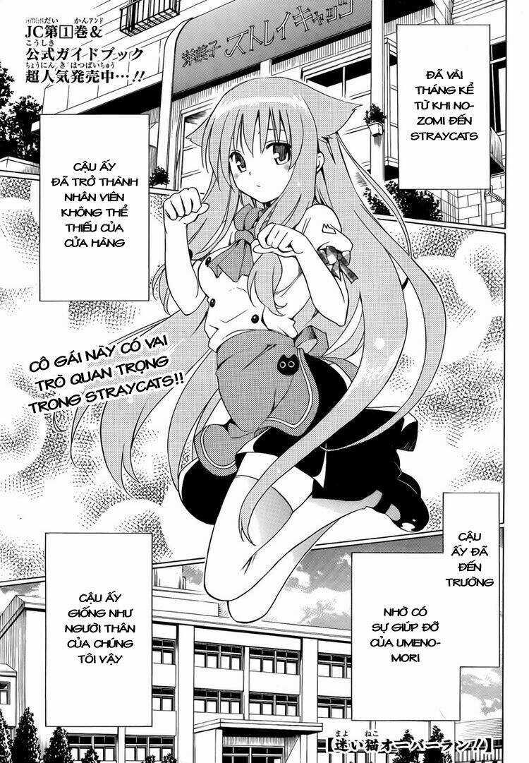 Mayoi Neko Overrun! - Chapter 6 - Trang 3