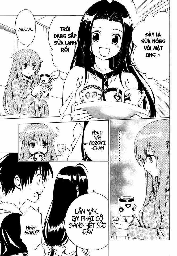 Mayoi Neko Overrun! - Chapter 6 - Trang 29