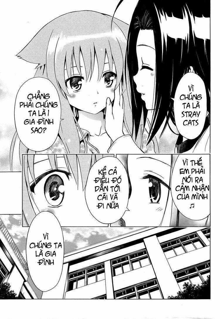 Mayoi Neko Overrun! - Chapter 6 - Trang 31