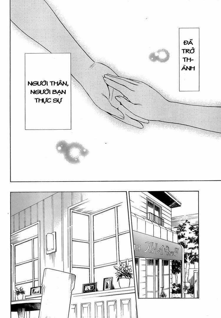 Mayoi Neko Overrun! - Chapter 6 - Trang 42