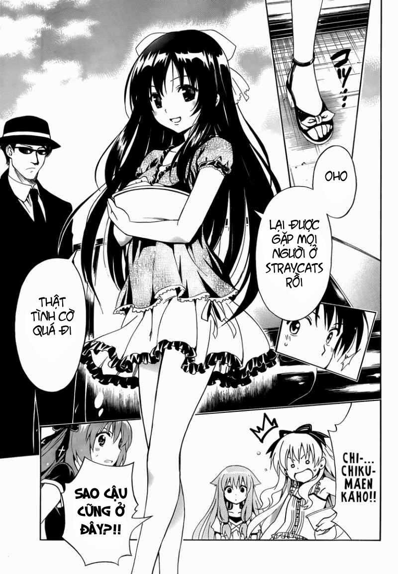 Mayoi Neko Overrun! - Chapter 7 - Trang 20