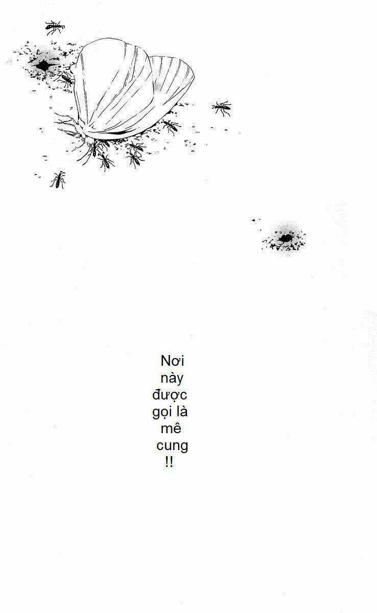 Mayonaka No Ariadone - Chapter 1 - Trang 3