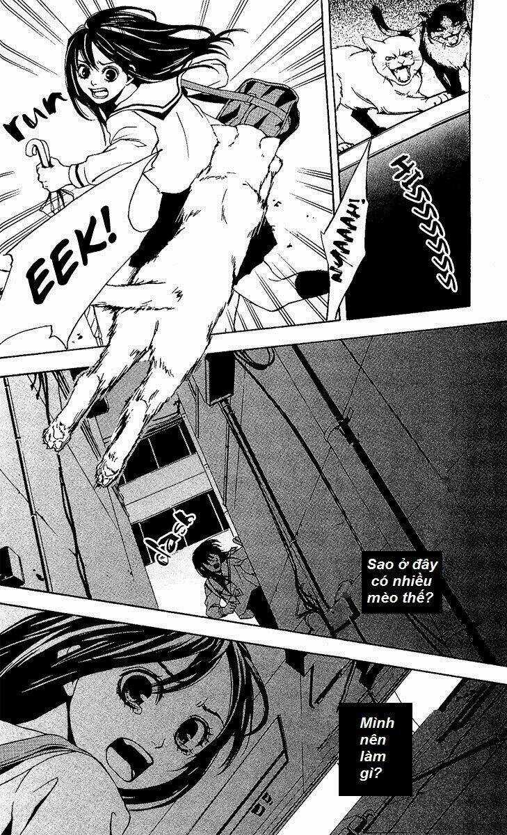 Mayonaka No Ariadone - Chapter 1 - Trang 42