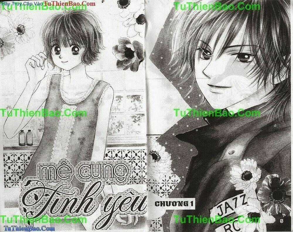 Mê Cung Tình Yêu - Chapter 1 - Trang 2