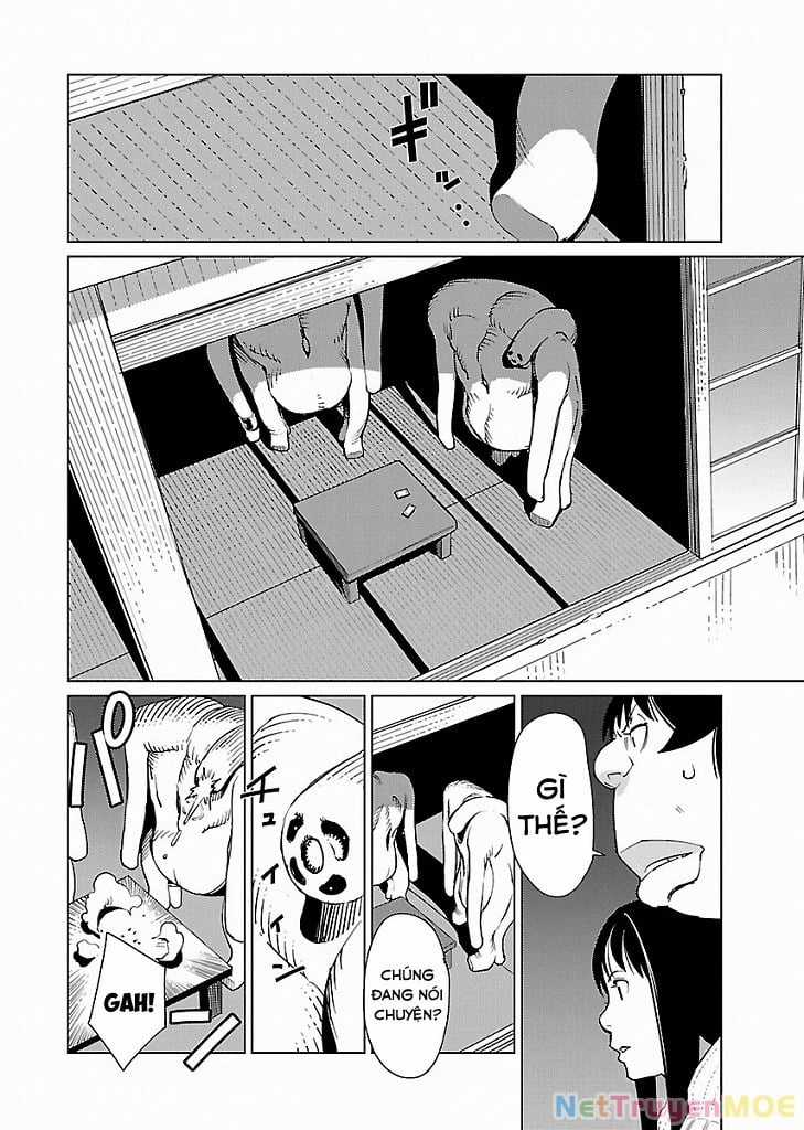 Mê Cung Triệu Chiếu - Chapter 7 - Trang 15