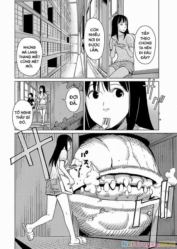 Mê Cung Triệu Chiếu - Chapter 7 - Trang 5