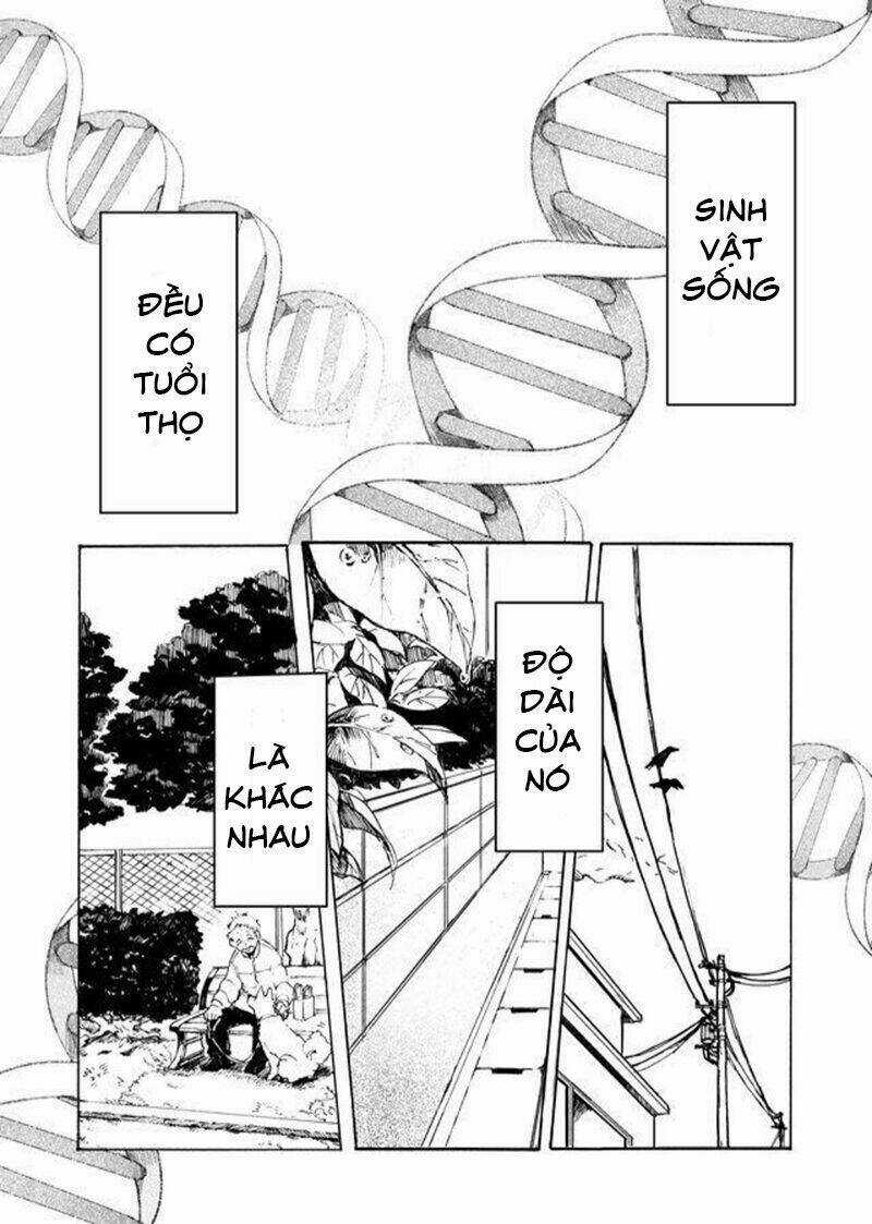 Memento Memori - Chapter 1 - Trang 4