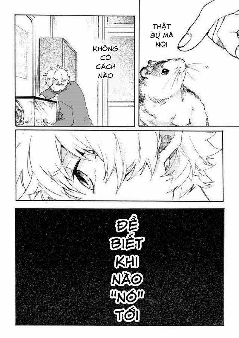 Memento Memori - Chapter 1 - Trang 5