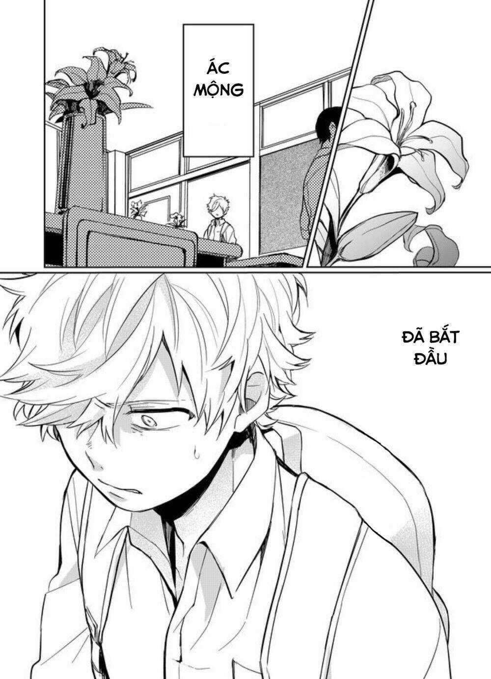 Memento Memori - Chapter 12 - Trang 5