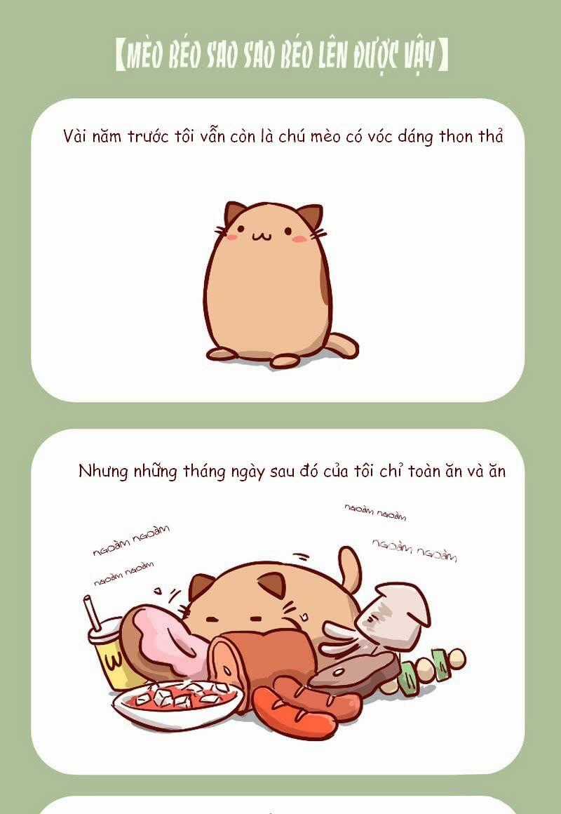 Mèo Béo Và Thỏ Giấy - Chapter 1 - Trang 3