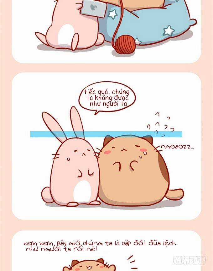 Mèo Béo Và Thỏ Giấy - Chapter 2 - Trang 3