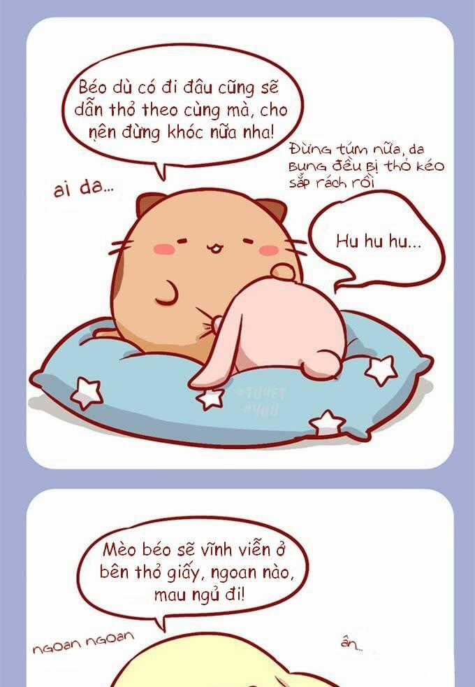 Mèo Béo Và Thỏ Giấy - Chapter 3 - Trang 6