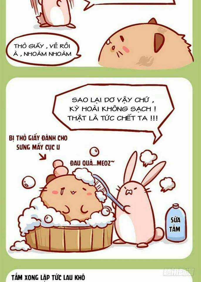 Mèo Béo Và Thỏ Giấy - Chapter 4 - Trang 3