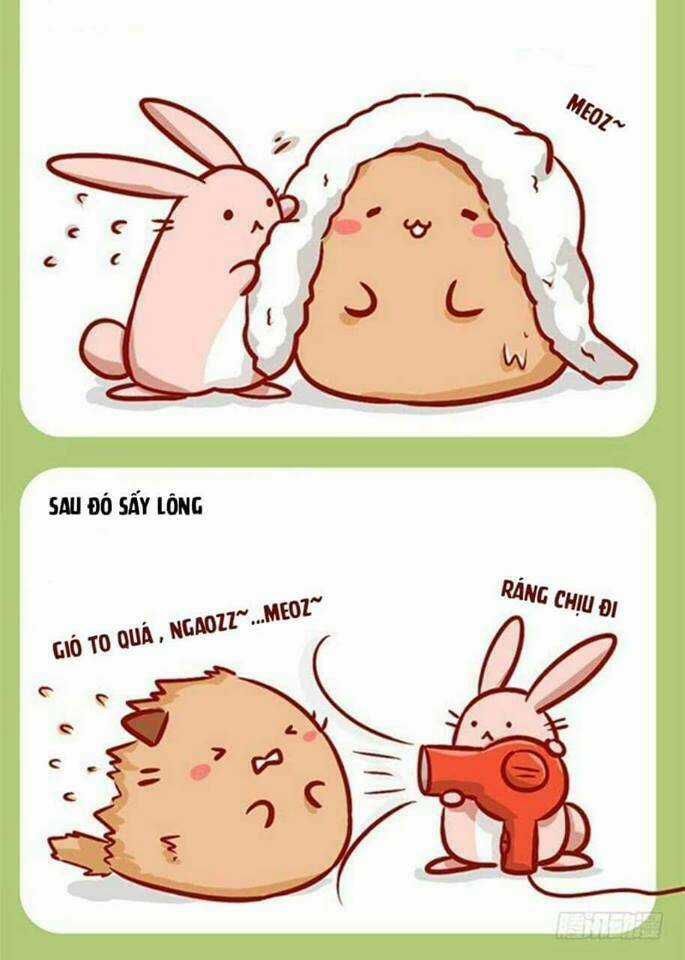Mèo Béo Và Thỏ Giấy - Chapter 4 - Trang 4