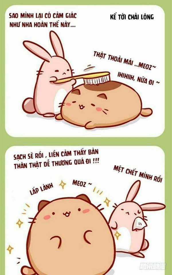 Mèo Béo Và Thỏ Giấy - Chapter 4 - Trang 5