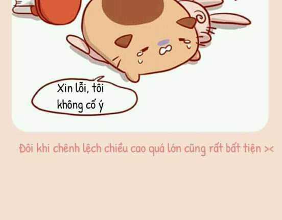 Mèo Béo Và Thỏ - Chapter 1 - Trang 9