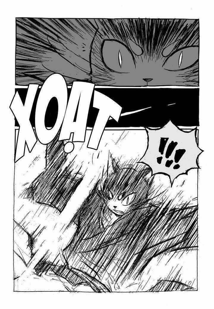 Mèo Cáo Nổi Giận - Chapter 5 - Trang 6