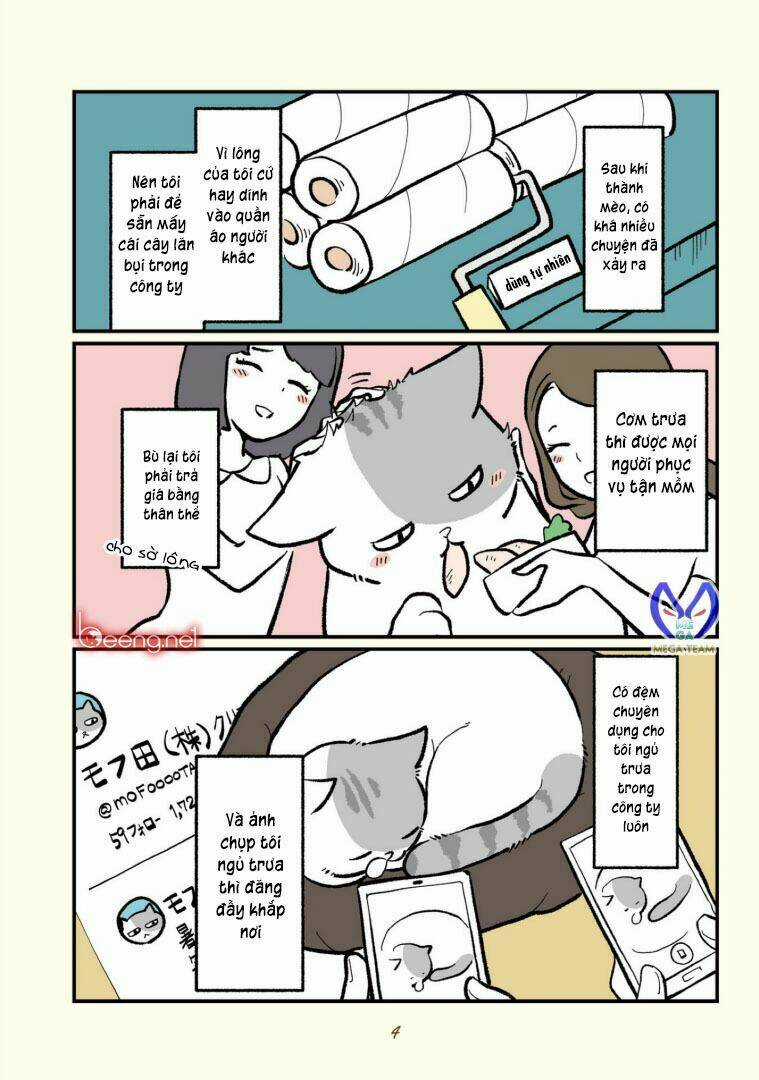 Mèo Công Sở - Chapter 1 - Trang 5