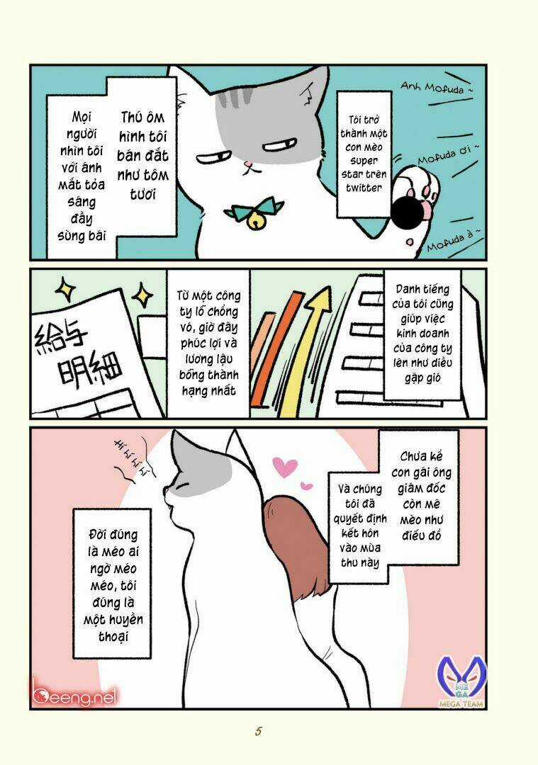 Mèo Công Sở - Chapter 1 - Trang 6