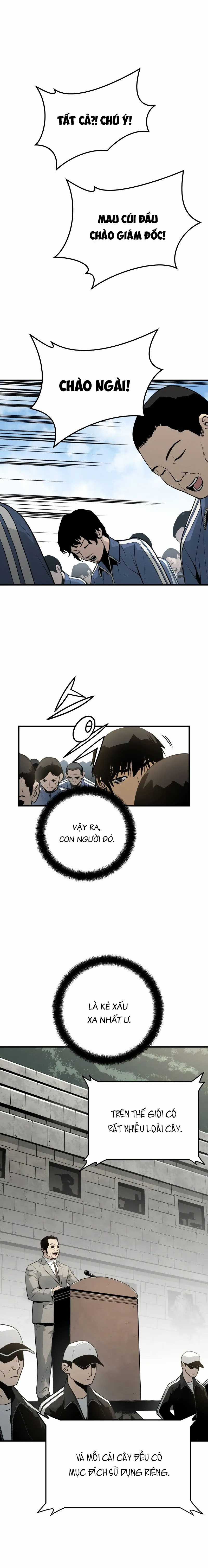 Merchiless - Chapter 5 - Trang 13