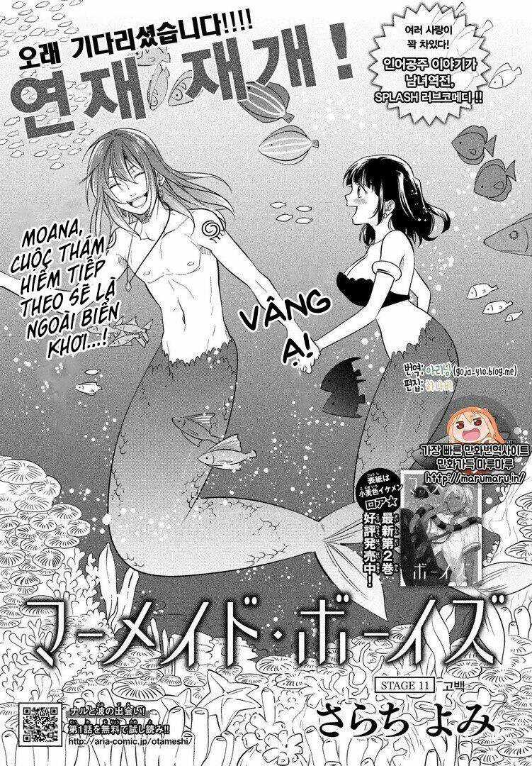 Mermaid Boys - Chapter 11 - Trang 3