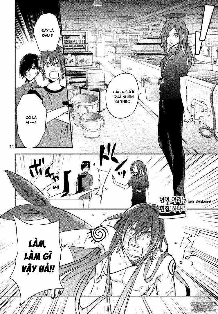 Mermaid Boys - Chapter 12 - Trang 17