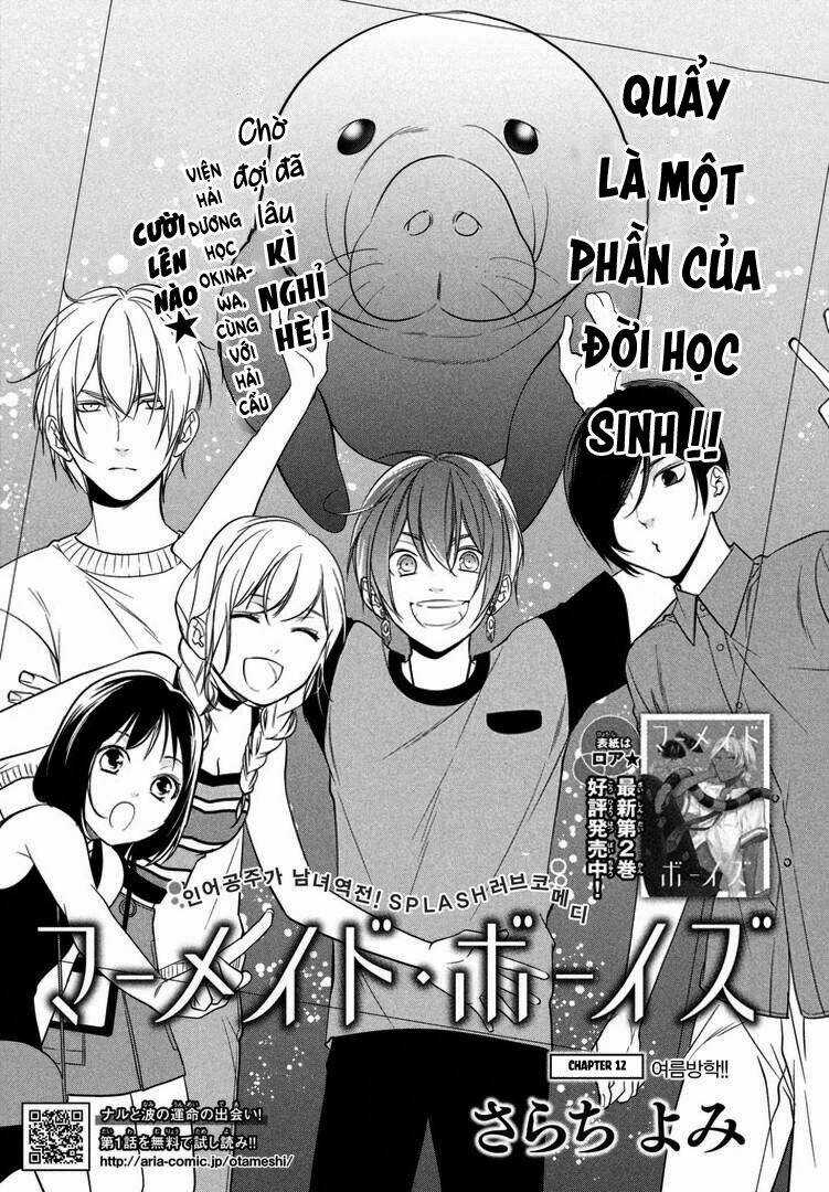 Mermaid Boys - Chapter 12 - Trang 4