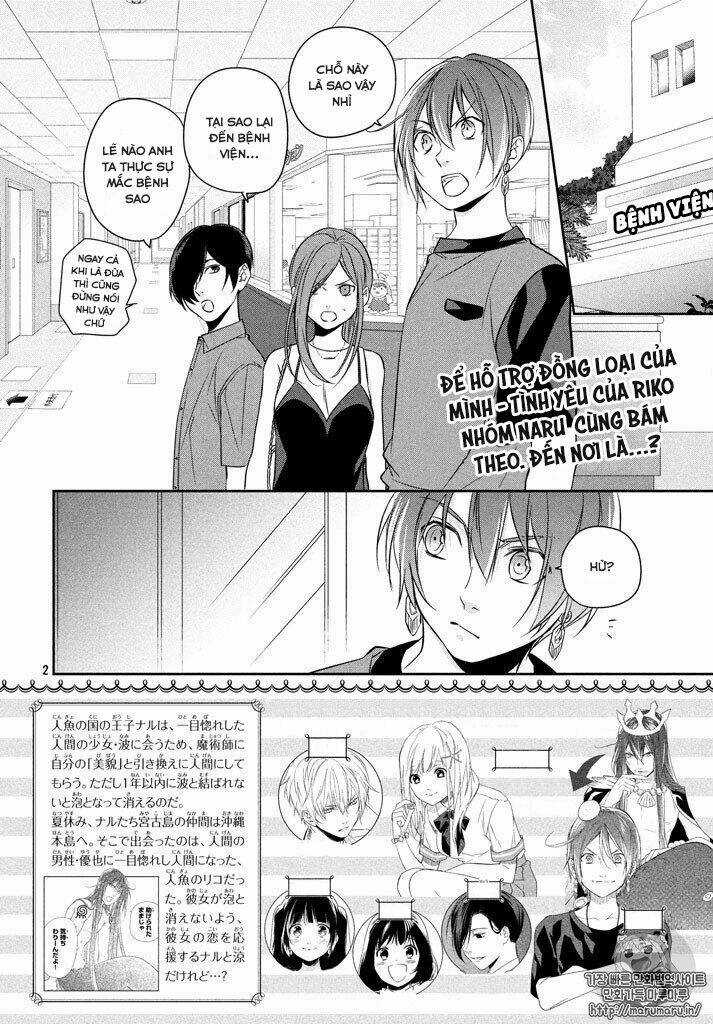 Mermaid Boys - Chapter 13 - Trang 6