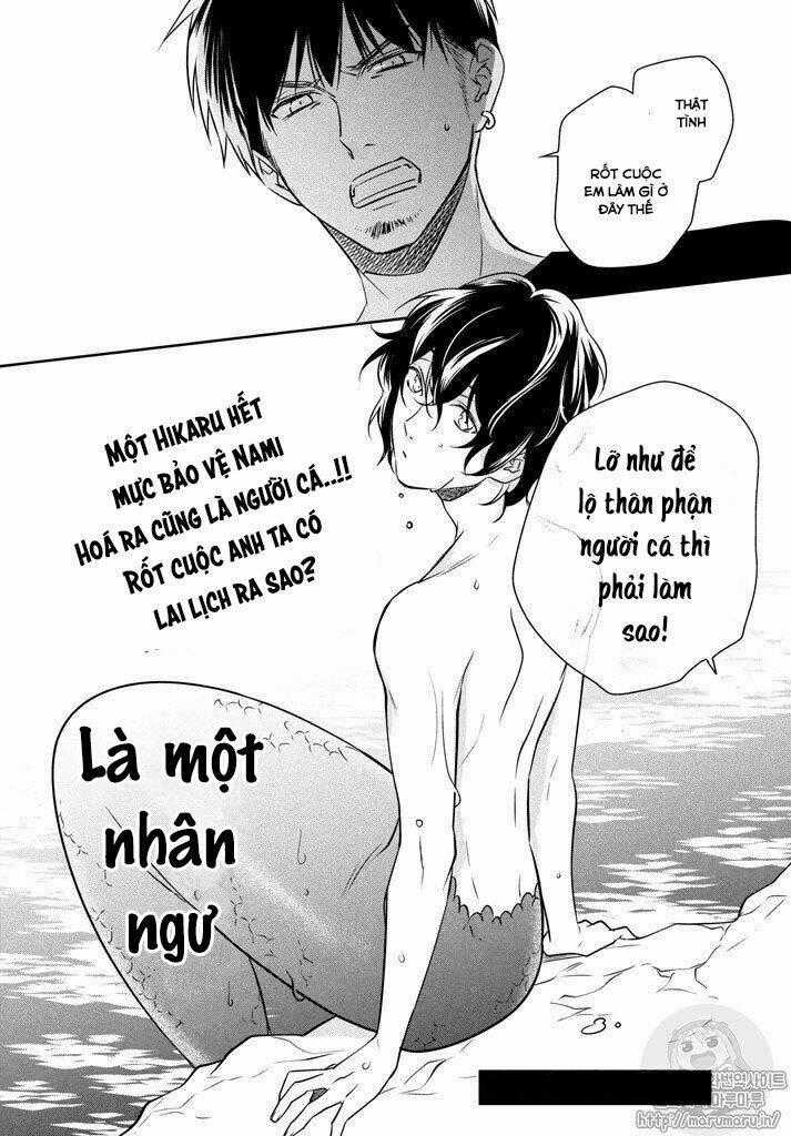 Mermaid Boys - Chapter 15 - Trang 16