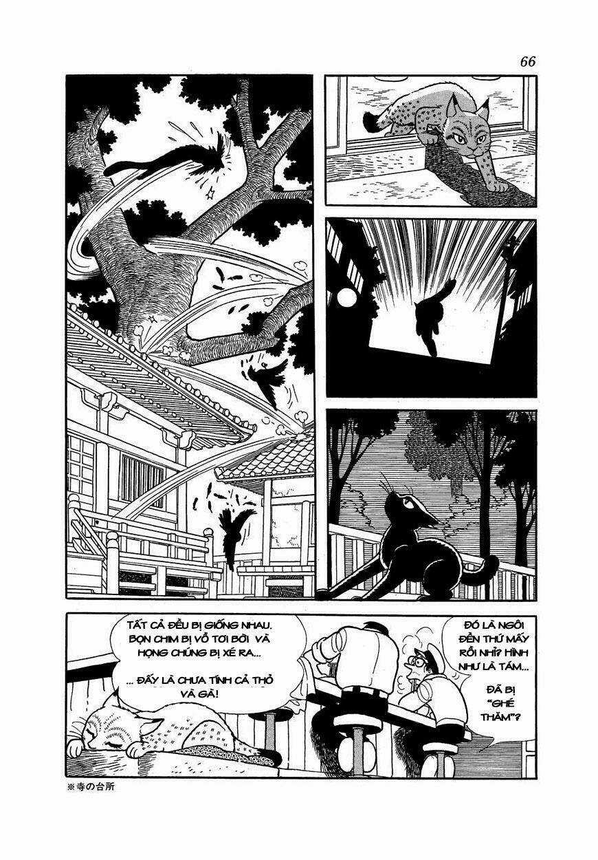 Midnight - Chapter 3 - Trang 11