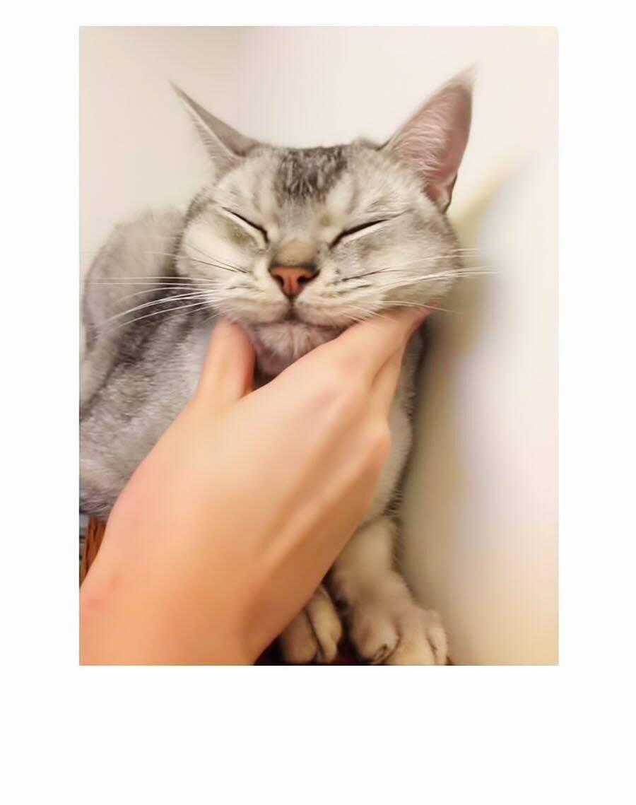 Miêu Hiệp - Chapter 8 - Trang 45