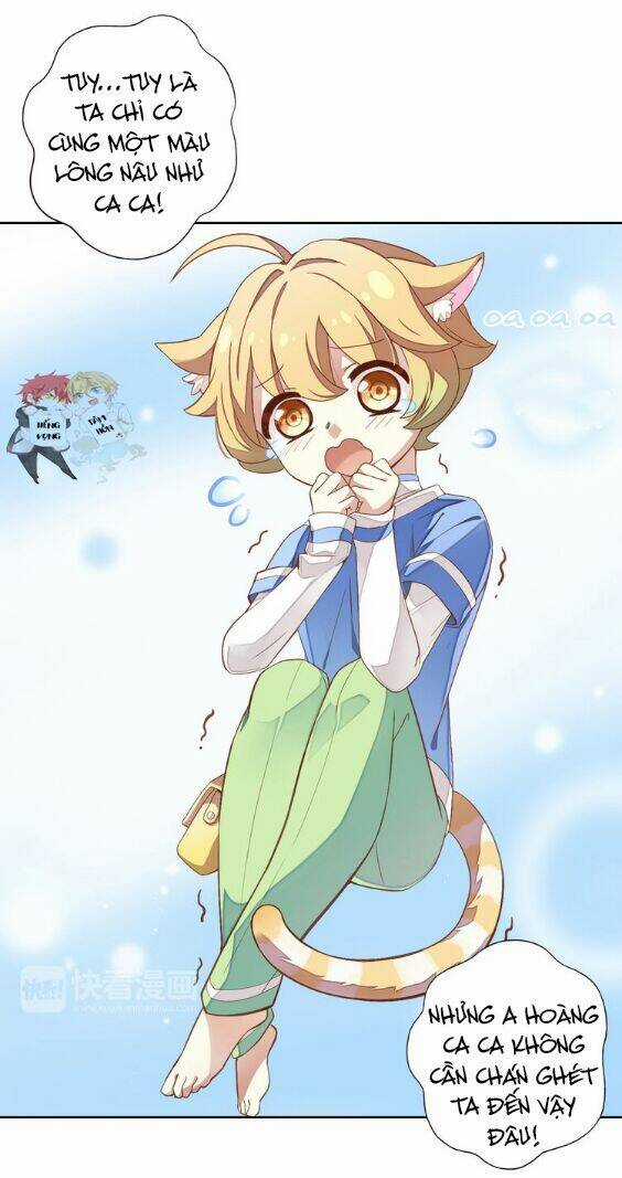 Miêu Trảo Chi Hạ - Chapter 1 - Trang 11