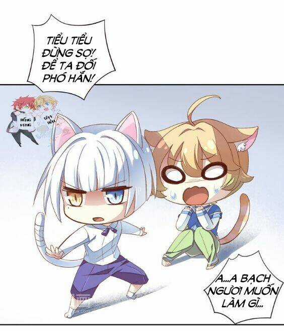 Miêu Trảo Chi Hạ - Chapter 1 - Trang 13