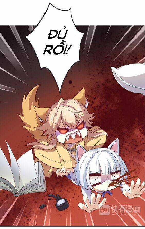 Miêu Trảo Chi Hạ - Chapter 1 - Trang 23