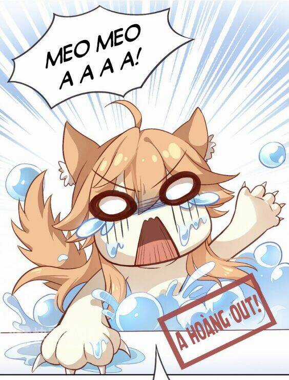 Miêu Trảo Chi Hạ - Chapter 1 - Trang 27