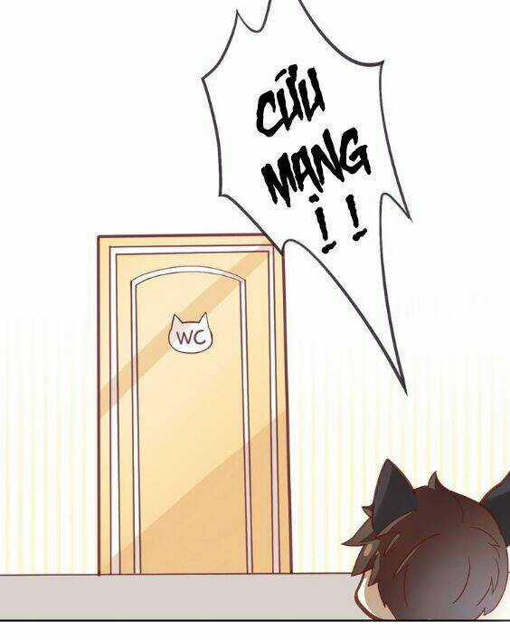 Miêu Trảo Chi Hạ - Chapter 1 - Trang 28