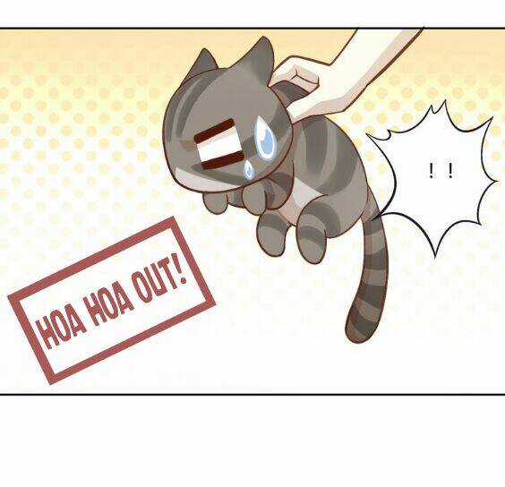 Miêu Trảo Chi Hạ - Chapter 1 - Trang 32