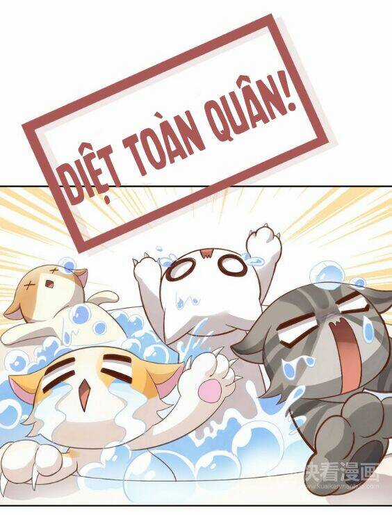 Miêu Trảo Chi Hạ - Chapter 1 - Trang 34