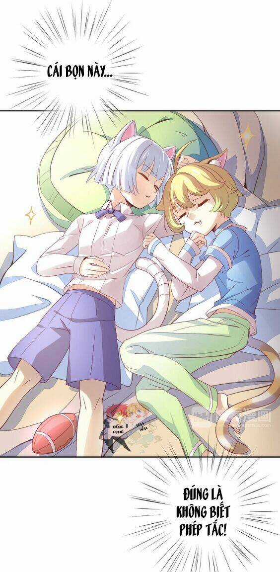 Miêu Trảo Chi Hạ - Chapter 1 - Trang 42