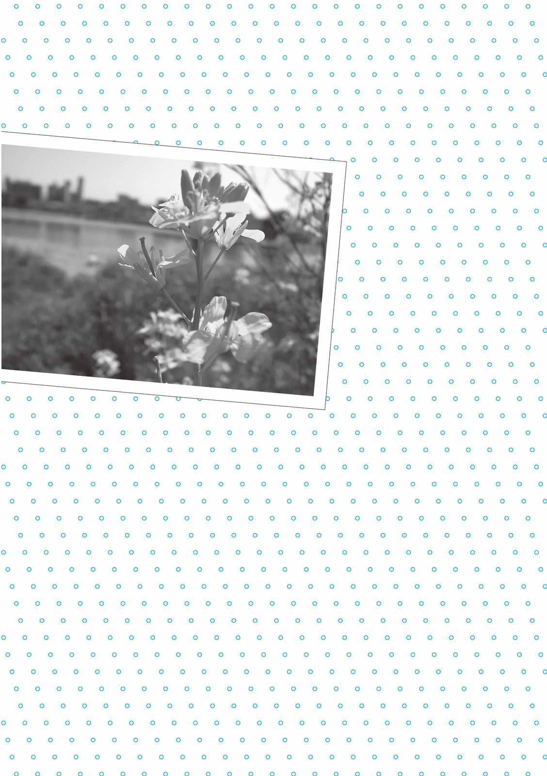 Mikako-San - Chapter 24 - Trang 6