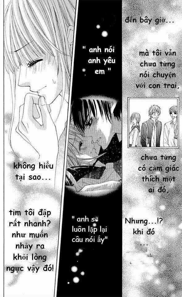 Mitsukoi Honey - Chapter 4 - Trang 6