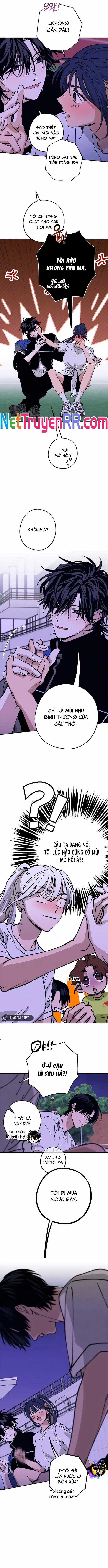 Mối Quan Hệ Đặc Biệt - Chapter 33 - Trang 11