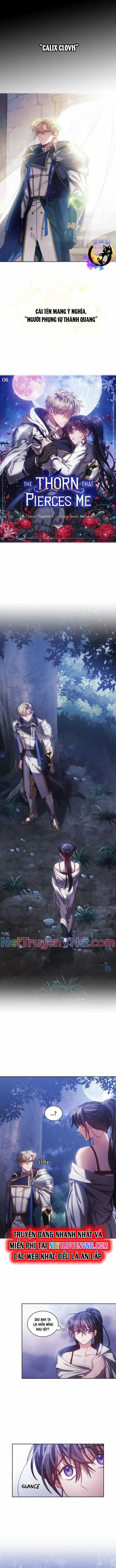 Mối Tình Chông Gai - Chapter 6 - Trang 3