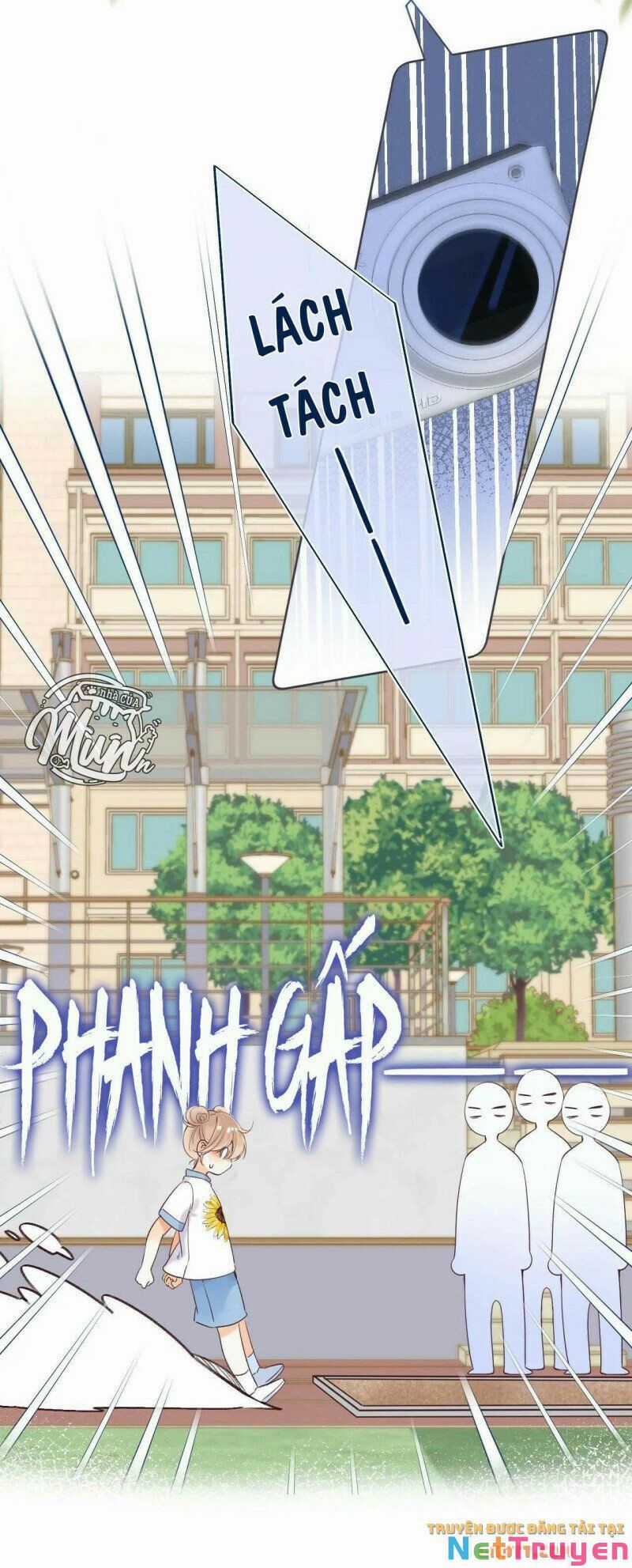 Mối Tình Thầm Kín - Chapter 24 - Trang 15