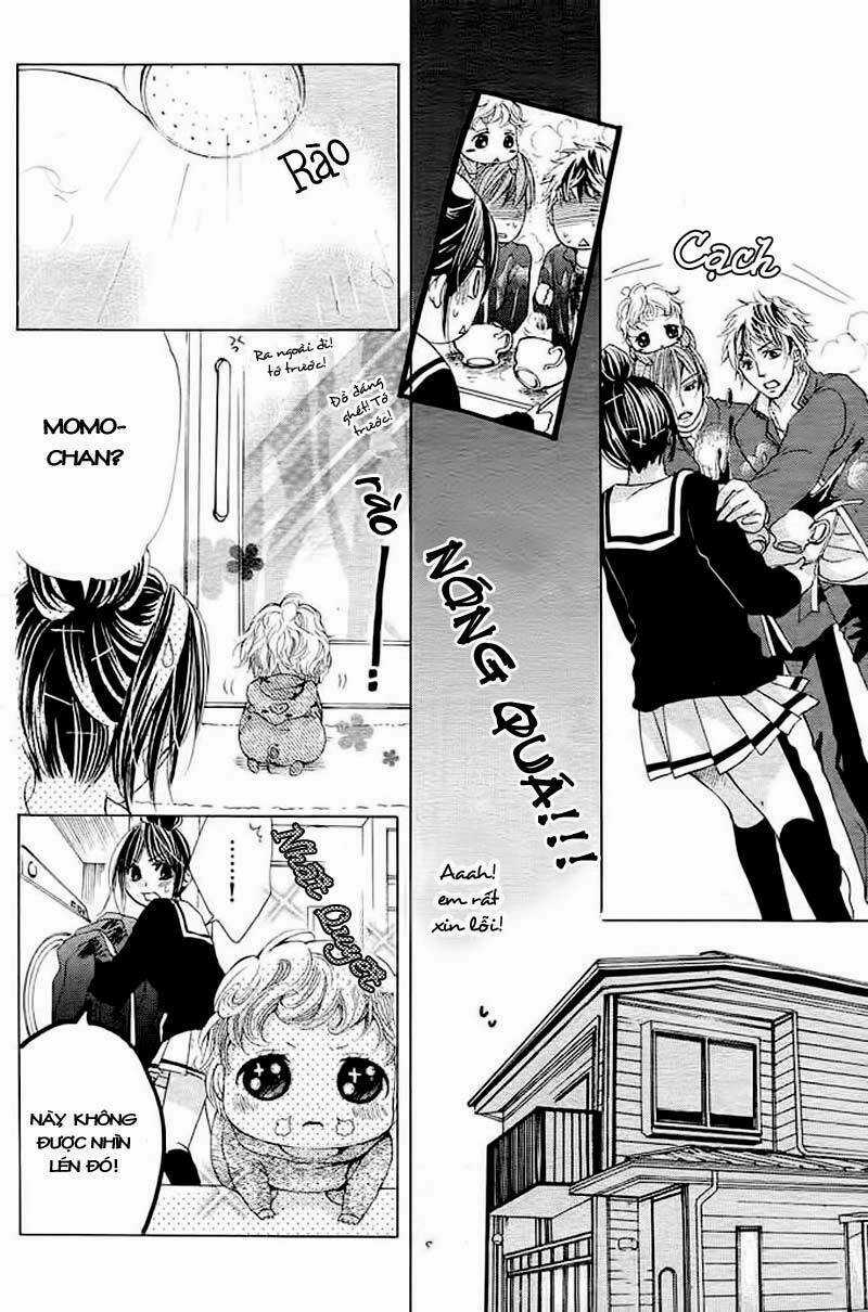 Momo Lover - Chapter 1 - Trang 18