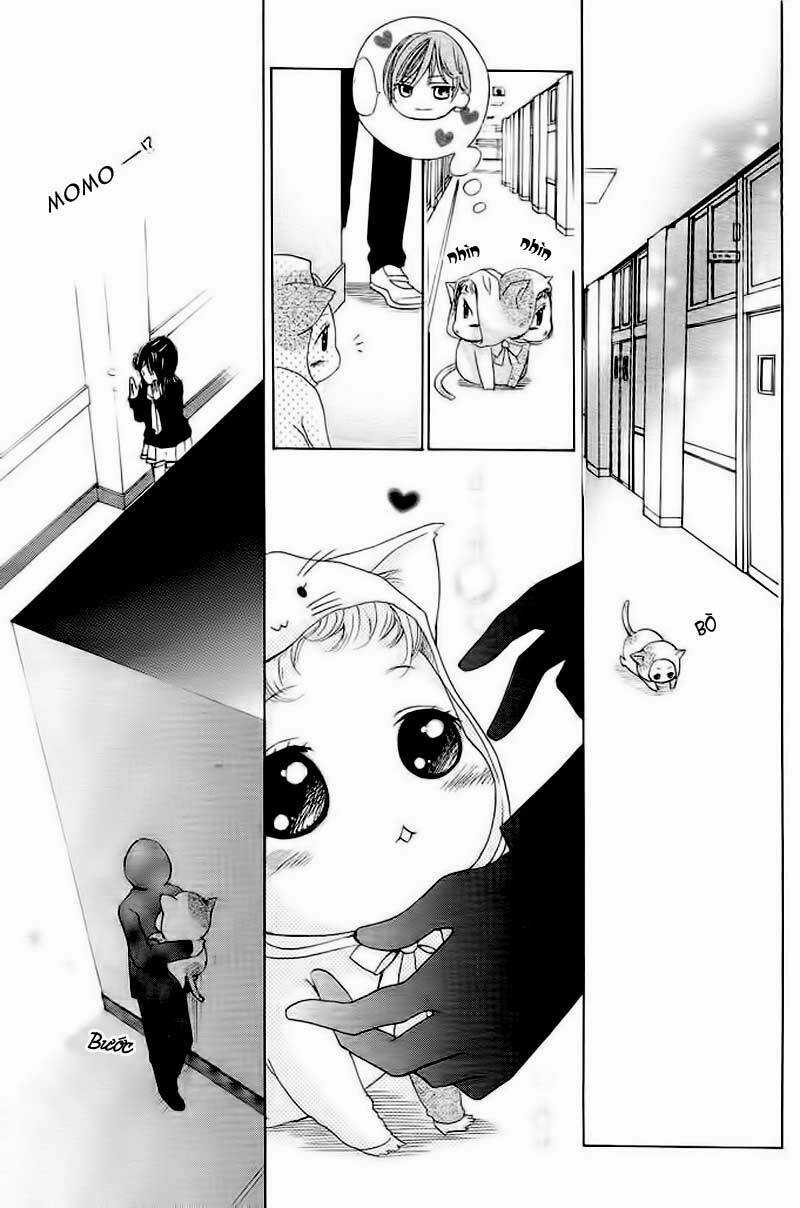 Momo Lover - Chapter 2 - Trang 20