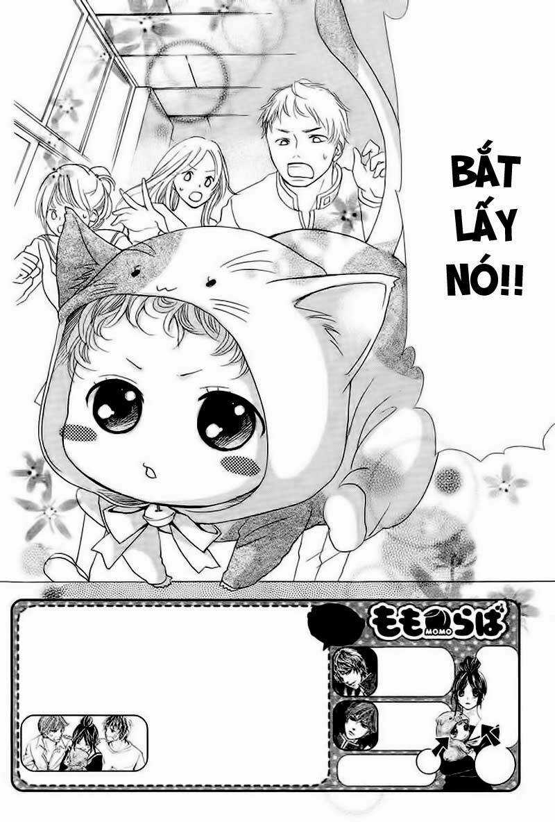 Momo Lover - Chapter 2 - Trang 5