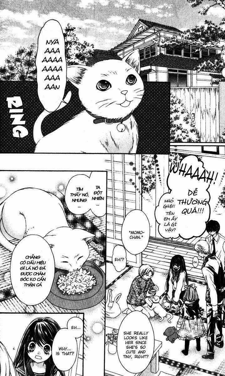 Momo - Chapter 19 - Trang 19