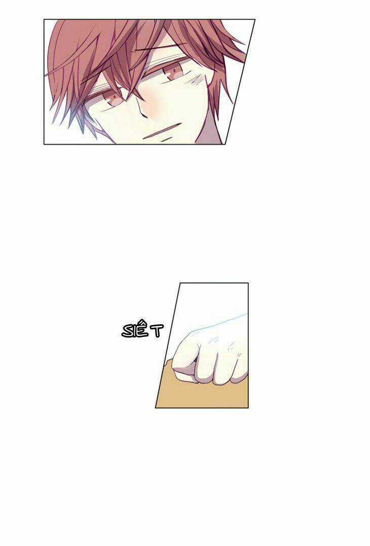 Món quà từ Chúa - Chapter 13 - Trang 24